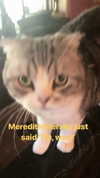 taylorswift Altpins Profile Picture