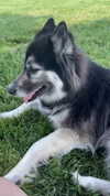 magg0tfleshh Altpins Profile Picture