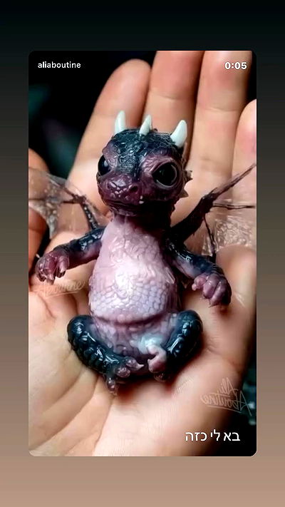 _lil_noa_ _lil_noa_ archive video