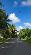 veronika_grish Altpins Profile Picture