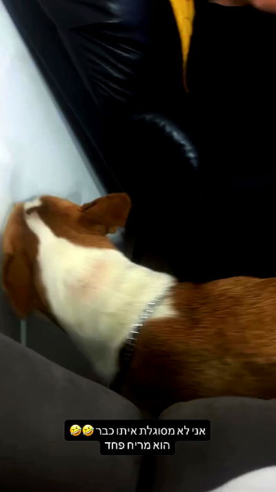 shirel_2222_ shirel_2222_ archive video