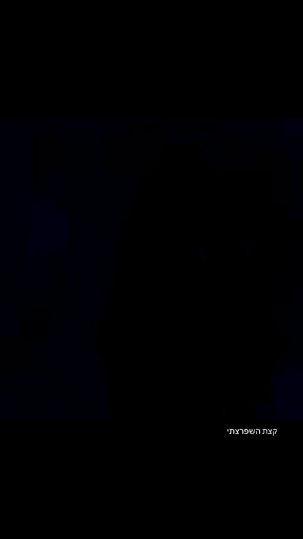 ___shachar archive video preview