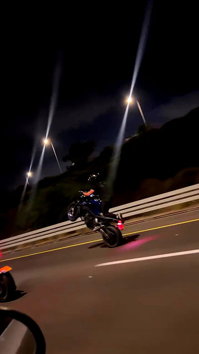 simp_for_cats_ simp_for_cats_ archive video