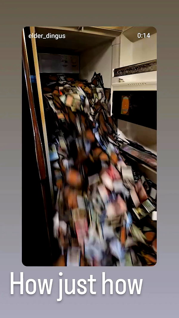 _littlerobin_ archive video preview