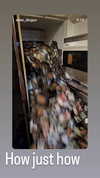 _littlerobin_ Altpins Profile Picture