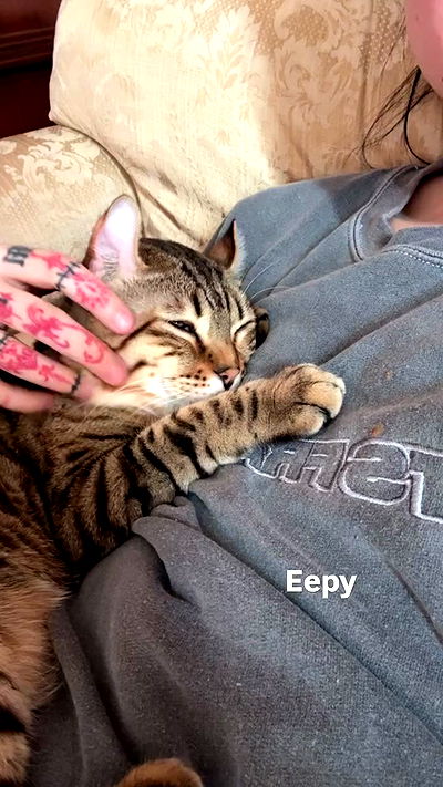 laurinchhhe laurinchhhe archive video