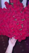 1ssakova Altpins Profile Picture