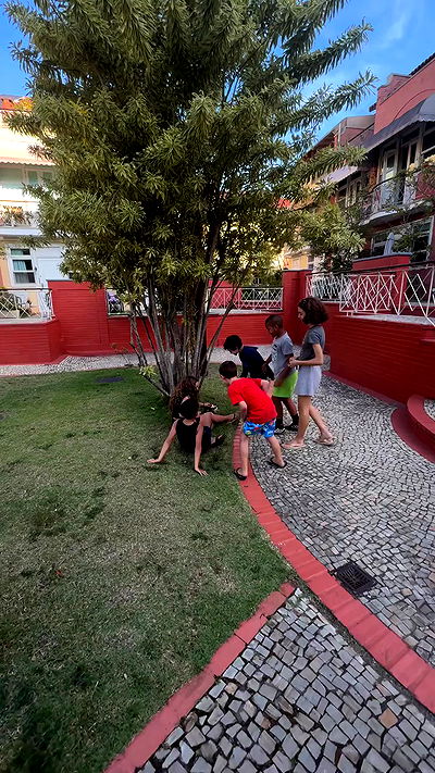 tiliaoficial tiliaoficial archive video