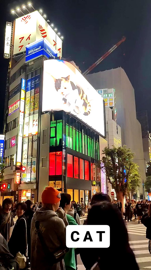 mikomihokina archive video preview