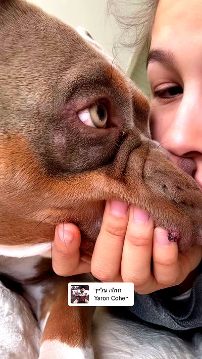 kesemgreenyer kesemgreenyer archive video