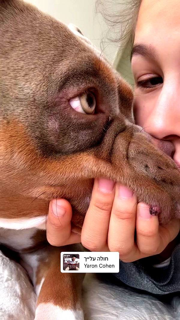 kesemgreenyer archive video preview