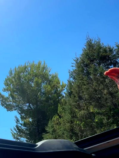 miakhalifa miakhalifa archive video