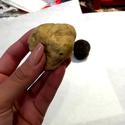 miakhalifa miakhalifa archive video