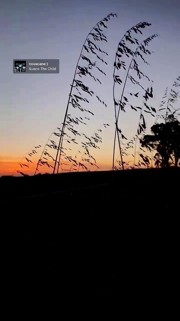 piper.jaylen archive video preview