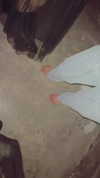 shaniii.1 Altpins Profile Picture