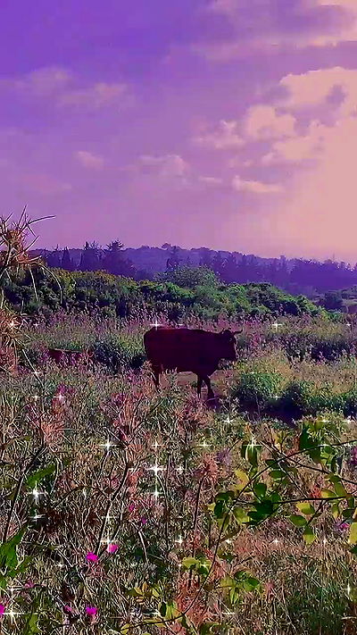 feelbetterinmysweater feelbetterinmysweater archive video