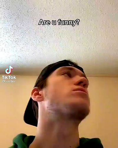 tuliprivet tuliprivet archive video