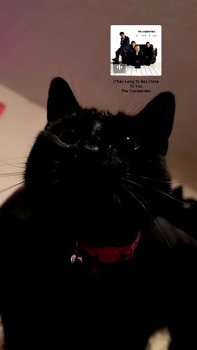 juliaelzz juliaelzz archive video