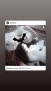 cinnannoe Altpins Profile Picture
