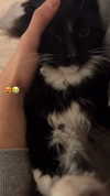 sydney_melman Altpins Profile Picture
