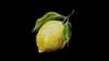 beyonce Altpins Profile Picture