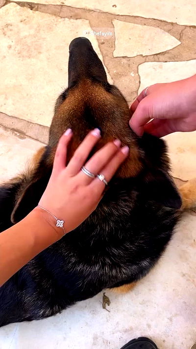 yaelxyazdi yaelxyazdi archive video