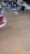 railey.tv Altpins Profile Picture