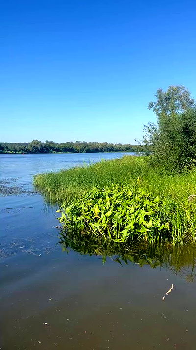 jaroslava_klavir jaroslava_klavir archive video