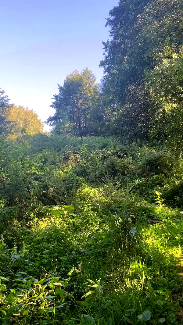 jaroslava_klavir archive video preview