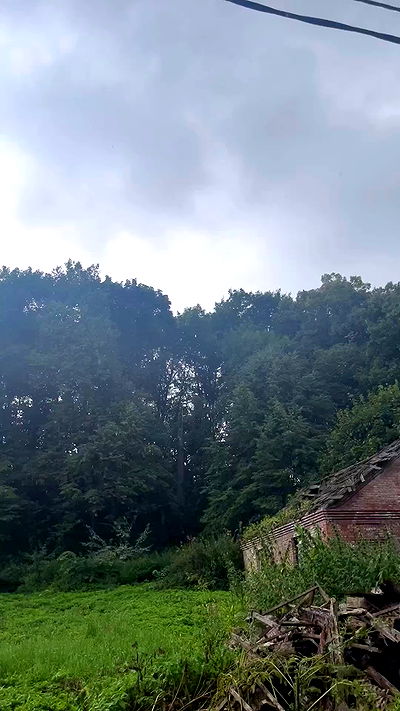 jaroslava_klavir jaroslava_klavir archive video