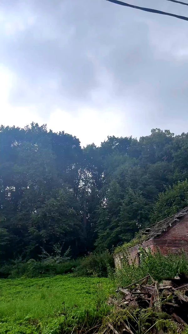 jaroslava_klavir archive video preview