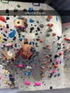 cclaire.bbear1 Altpins Profile Picture