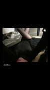 mlllkvv Altpins Profile Picture
