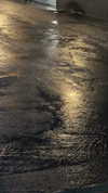 sydney_melman Altpins Profile Picture