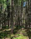 mollieruck Altpins Profile Picture