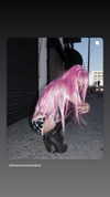 ifkissescouldleavecuts Altpins Profile Picture
