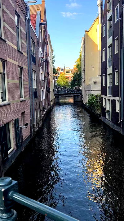 bakedsloths bakedsloths archive video