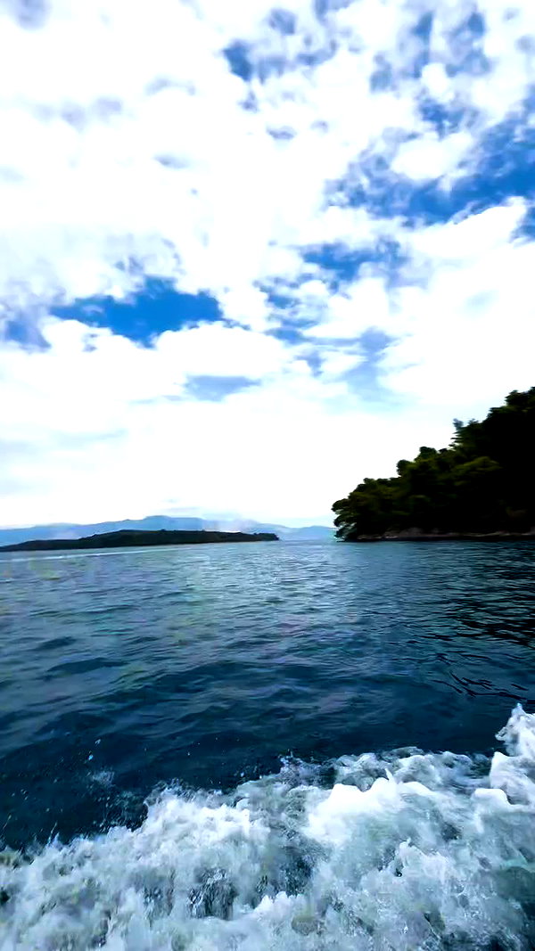 __.morf.__ archive video preview