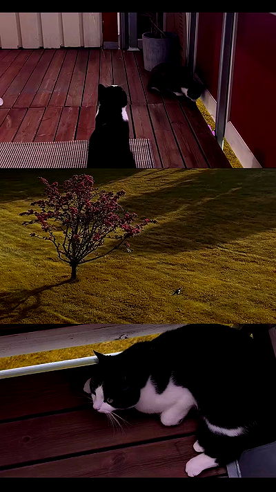 milkgore milkgore archive video