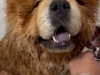 adel__s_ Altpins Profile Picture