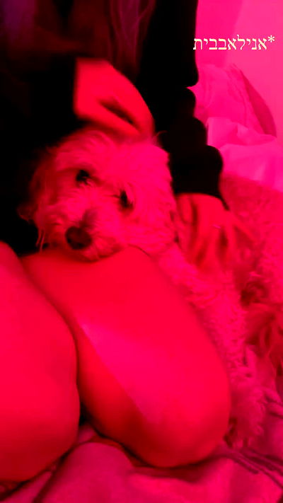 feelbetterinmysweater feelbetterinmysweater archive video