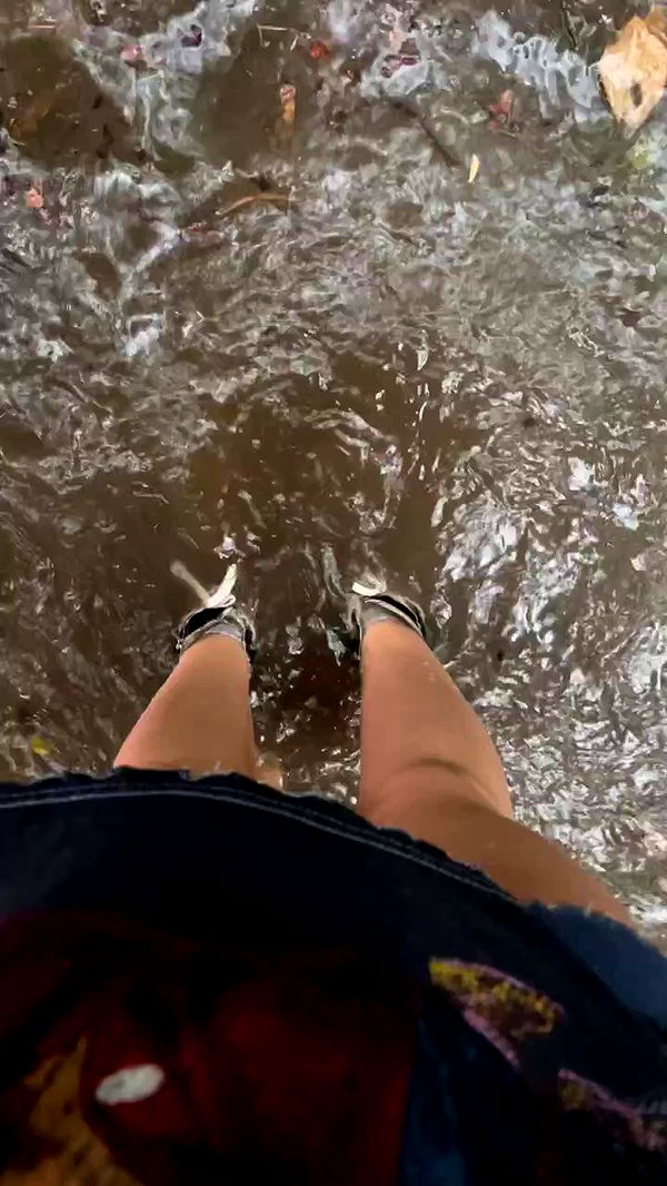 jaroslava_klavir archive video preview