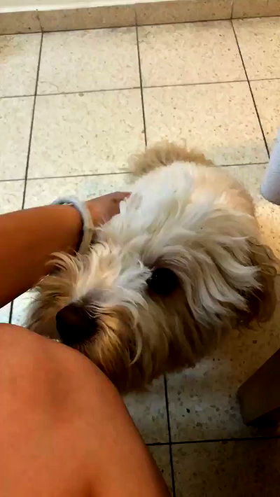 feelbetterinmysweater feelbetterinmysweater archive video