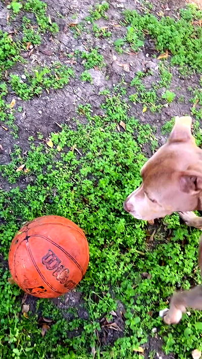 feelbetterinmysweater feelbetterinmysweater archive video