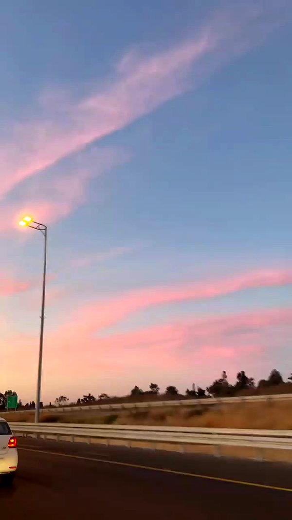 daniellep___ archive video preview
