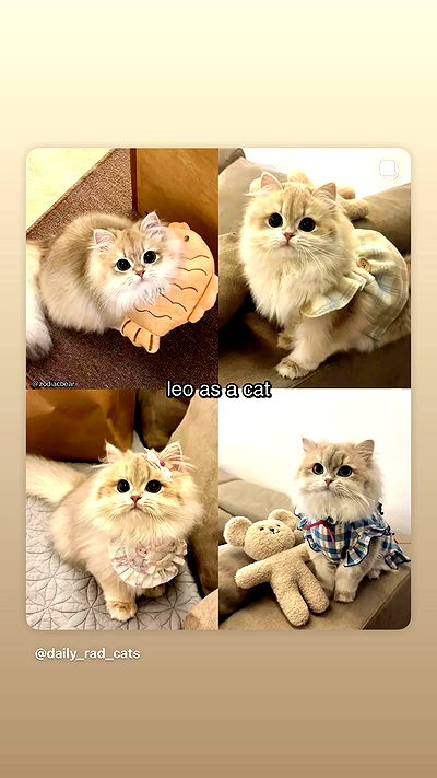 ninja.vi ninja.vi archive video