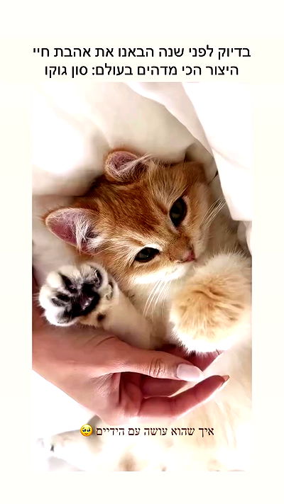 itsilanosh itsilanosh archive video