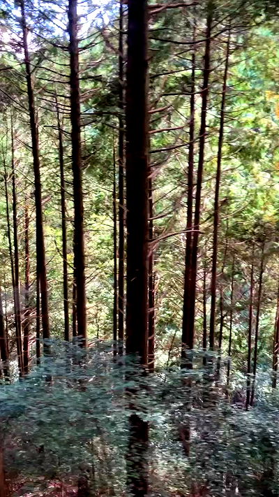 elianachetrit elianachetrit archive video