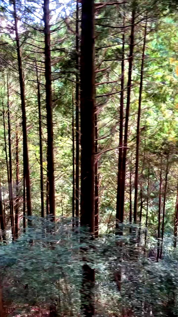 elianachetrit archive video preview