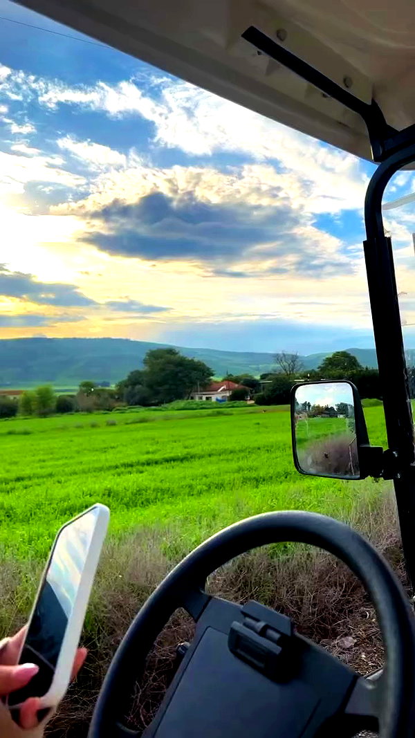 _adidahan archive video preview